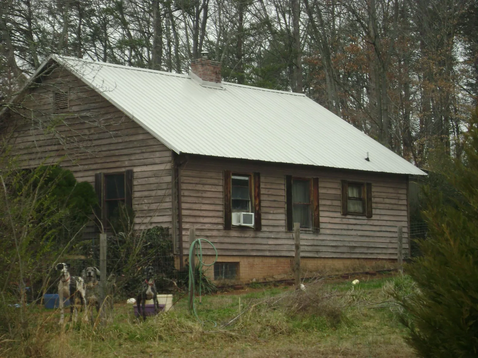 White metal roof on an old wood sided farmhouse, from a Asphalt Shingle Roof Repair job in South Seaville